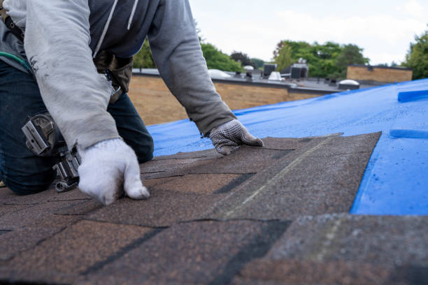 Best Metal Roofing Contractor  in Orange Grove, TX
