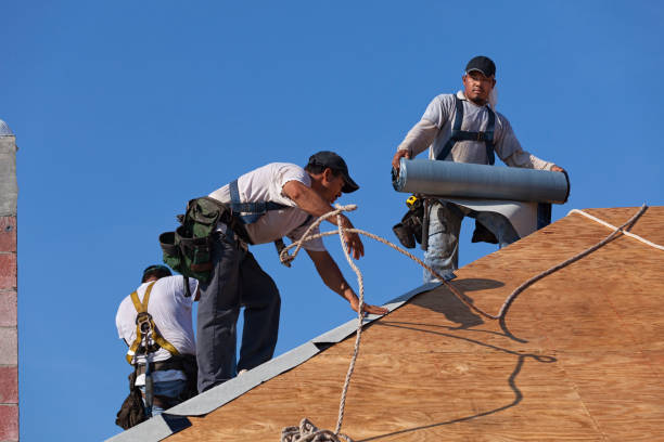 Best Roof Waterproofing Services  in Orange Grove, TX