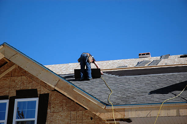 Best Gutter Installation and Roofing  in Orange Grove, TX