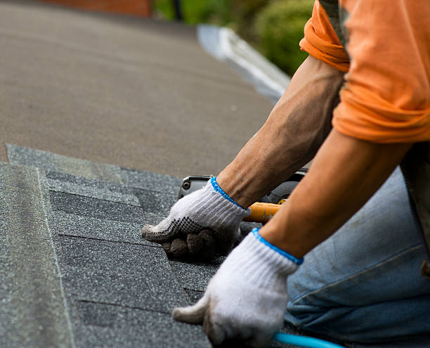 Best Flat Roof Repair Services  in Orange Grove, TX