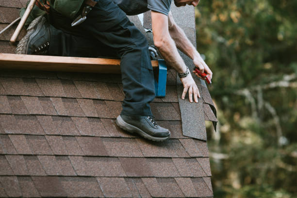 Quick and Trustworthy Emergency Roof Repair Services in Orange Grove, TX