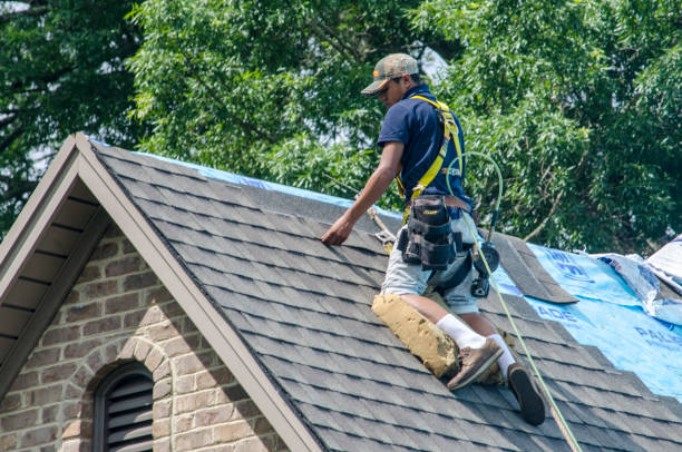 Roof Repair Estimates in Orange Grove, TX
